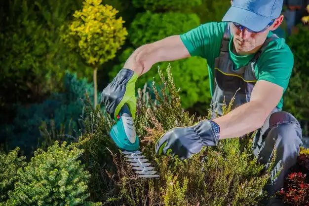 landscaping services David City